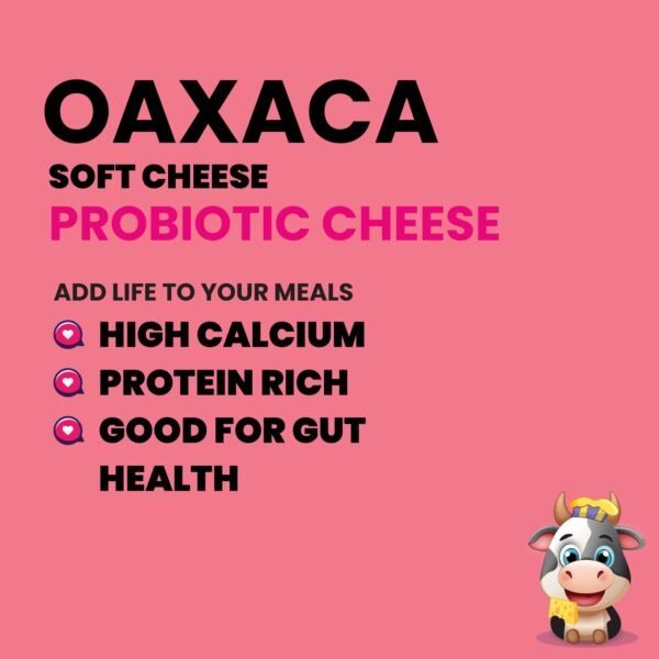 OAXACA PROBIOTIC CHEESE